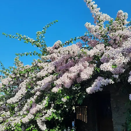 House Of Angels - Marabou Feriehus *